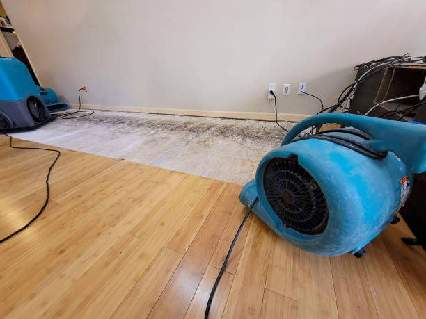 Professional Basement Flood Cleanup technician working in Brainard, NY